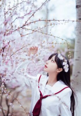 我妻子的姐姐中文字幕在线播放_超清免费电视剧